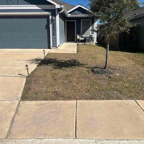 Leaf Removal by Cleanspot reviewed on January 21, 2026