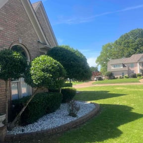 Bush Trimming by Grass and Garden LLC reviewed on August 17, 2025