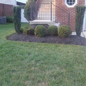 Bush Trimming by GRASS EFX LAWN CARE reviewed on July 13, 2025