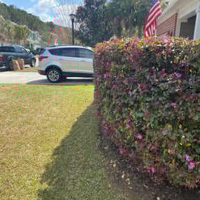 Bush Trimming by B and b lawn and professional services llc reviewed on August 16, 2025
