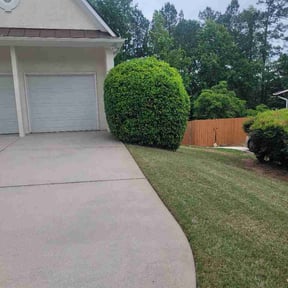 Bush Trimming by Renov8 Solutions inc. reviewed on May 1, 2026