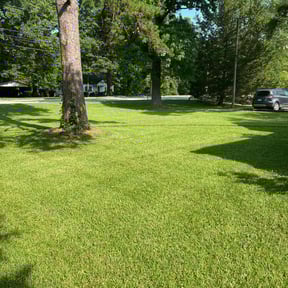 lawn maintenance by Nelson’s quick clean reviewed on August 21, 2025