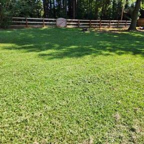 Bush Trimming by Rhoyalty Lawn Care, LLC reviewed on August 20, 2025