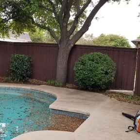 Bush Trimming by USA Lawncare Inc reviewed on August 21, 2025