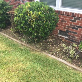 Flower Bed Weeding by All the right cuts reviewed on August 15, 2025