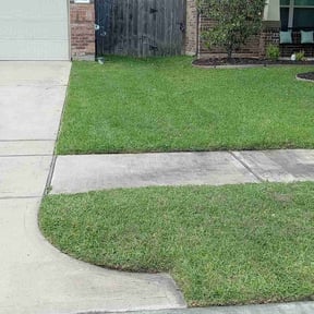 lawn care services by Mr Holmes Lawn Care Service reviewed on October 20, 2020