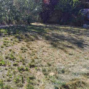 Flower Bed Weeding by Walker lawn care reviewed on July 16, 2026