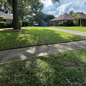 lawn service by S&T Services reviewed on August 20, 2025