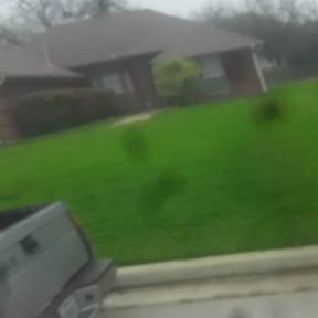 Bush Trimming by Lazy Palms Service's reviewed on August 16, 2025