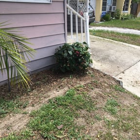 Bush Trimming by CCH Homes Llc reviewed on August 20, 2025