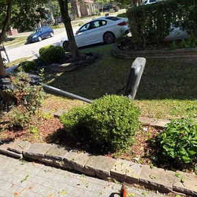 Bush Trimming by Lawndscaping Lopez reviewed on October 19, 2025