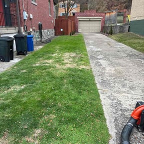 Leaf Removal by Raul's Lawn Care and Design  reviewed on November 24, 2025