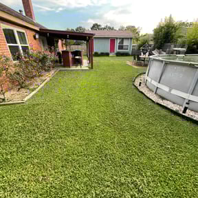 turf maintenance by Cat's Landscaping reviewed on May 12, 2024