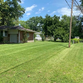 landscaping services by Dave’s Lawn Service reviewed on August 21, 2025