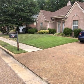 yard work by Lawn and Property reviewed on August 21, 2025