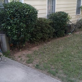 Bush Trimming by Fred Lawn Care reviewed on August 18, 2025