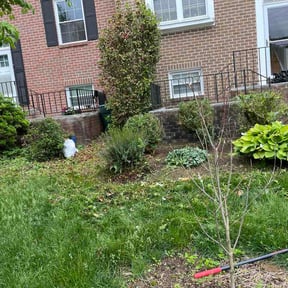 Flower Bed Weeding by Shaun and shadow  lawncare reviewed on May 26, 2026