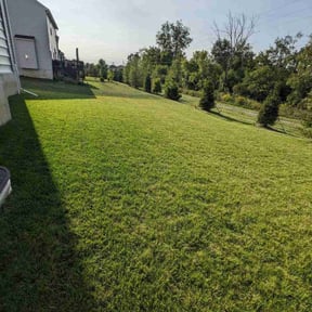 grass maintenance by Rich Evergreen Mindful Lawn Care reviewed on May 28, 2025