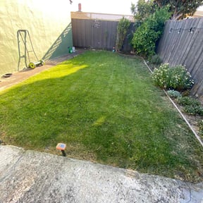 grass cutting by Ivan Yard Man Lawn Service reviewed on April 17, 2024