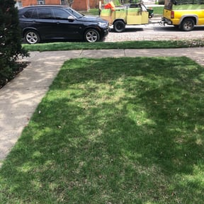 Leaf Removal by Js Lawn Care reviewed on September 10, 2025