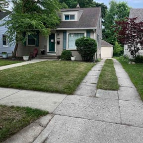 Leaf Removal by Essential Water Works Solutions LLC reviewed on June 14, 2026