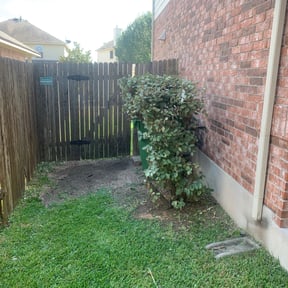 Bush Trimming by Byers Lawn reviewed on August 15, 2025
