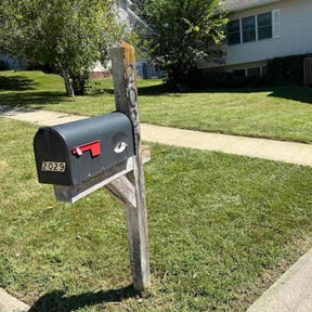 grass maintenance by My small dic reviewed on November 9, 2017