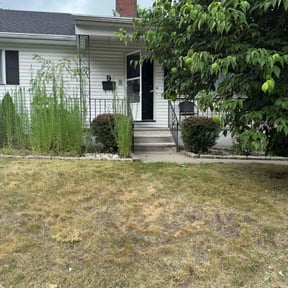 Bush Trimming by Dave's lawn care reviewed on August 16, 2025