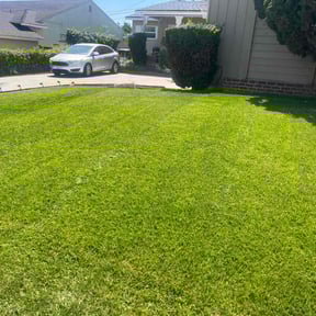 residential landscaping by Brantnew4U Property Management LLC reviewed on August 15, 2025