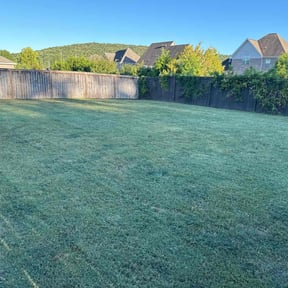 grass cutting by Hightower’s 4 Seasons reviewed on August 20, 2025