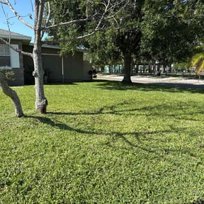 yard work by Terminus Lawn Care reviewed on January 8, 2026