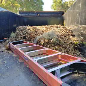 Leaf Removal by Dave&#039;s Professional Lawn Service reviewed on September 28, 2025