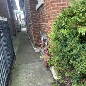 Leaf Removal by Semper fi landscaping reviewed on August 15, 2025