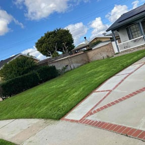 landscape maintenance by Nates Lawn Service reviewed on August 18, 2025