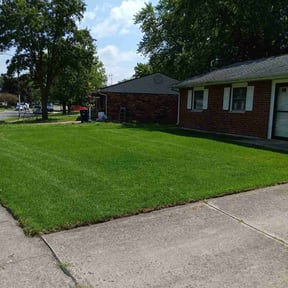 lawn service by Bob's reviewed on July 26, 2025