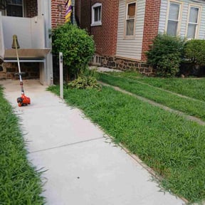 Flower Bed Weeding by The Lawn Barber reviewed on November 21, 2025