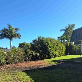 Bush Trimming by Creative Landscape  Design reviewed on November 7, 2025