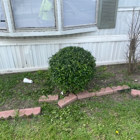 Bush Trimming by Texas Best Lawn and Farm reviewed on August 18, 2025