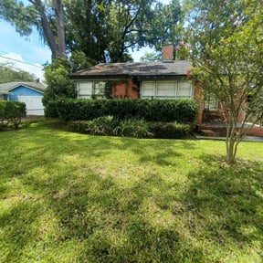 Bush Trimming by T & M Lawn Care reviewed on August 16, 2025