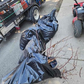 Leaf Removal by Gutierrez reviewed on August 18, 2026