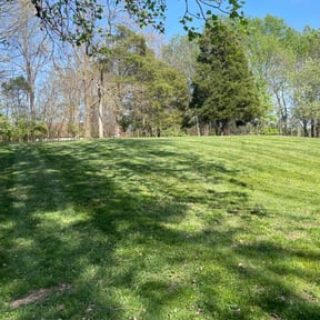 yard care by I WANNA MOW reviewed on November 24, 2025