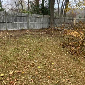 Leaf Removal by J&amp;J Lawn Care reviewed on November 18, 2025