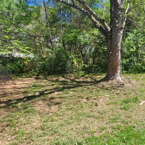 Leaf Removal by DCD LandScaping reviewed on September 16, 2025