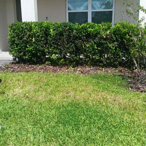 Bush Trimming by 3B Landscaping. reviewed on October 22, 2025