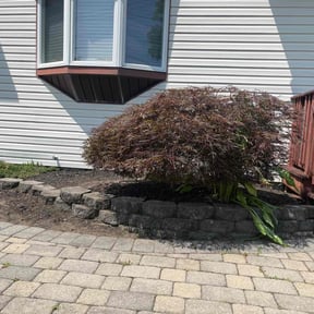 Bush Trimming by Grass Busters Lawncare reviewed on August 20, 2025