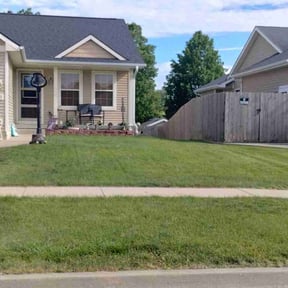 turf care by On The Green reviewed on September 15, 2024