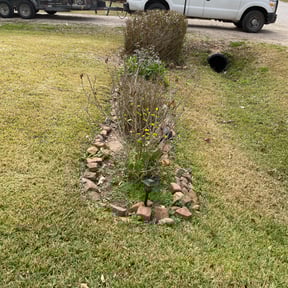 Bush Trimming by Marshall's Design and Maintenance reviewed on August 18, 2025