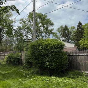 Bush Trimming by Wgm landscaping reviewed on August 19, 2025