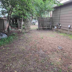 Bush Trimming by C&amp;T Landscaping reviewed on July 28, 2020