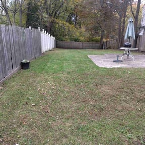 Leaf Removal by DaliaRosa reviewed on November 6, 2025